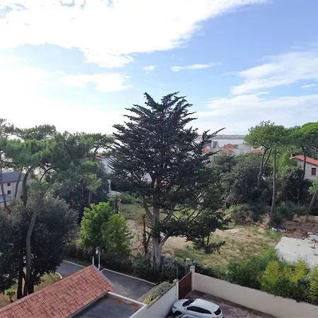 Parc - - La Grande Hune - Apercu * Royan