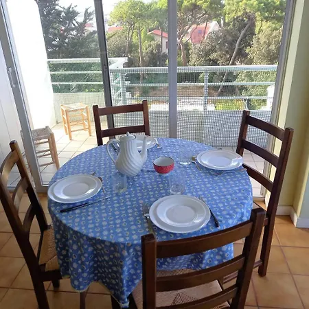 Parc - - La Grande Hune - Apercu Apartamento