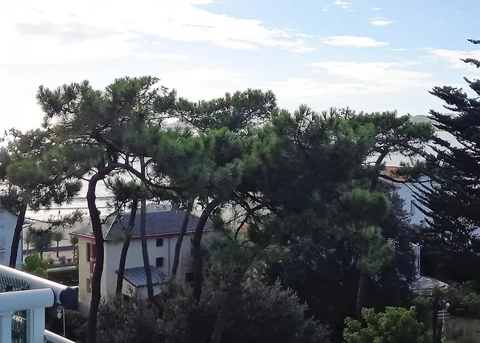 Apartment Parc - - La Grande Hune - Apercu *