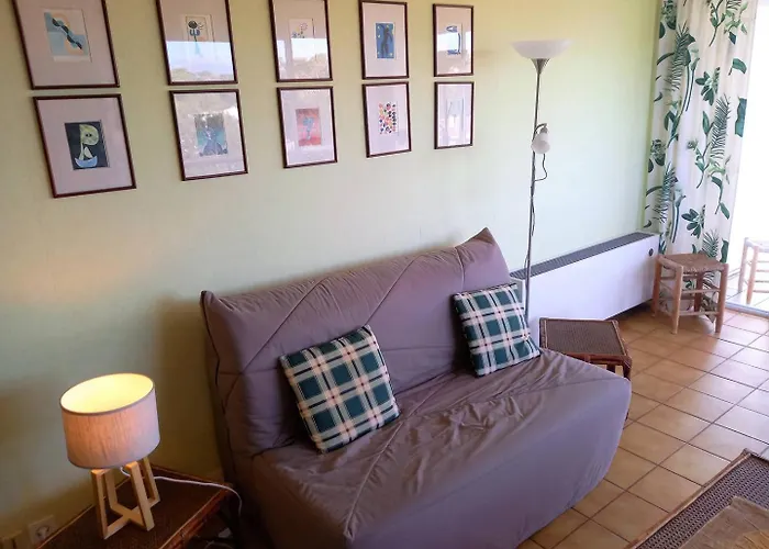 Apartment Parc - - La Grande Hune - Apercu *