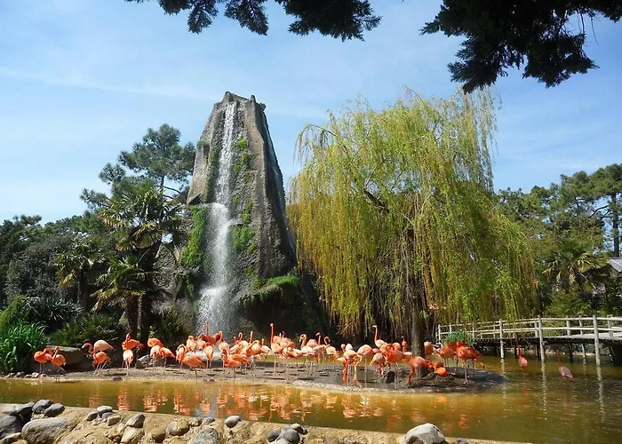 Parc - - La Grande Hune - Apercu